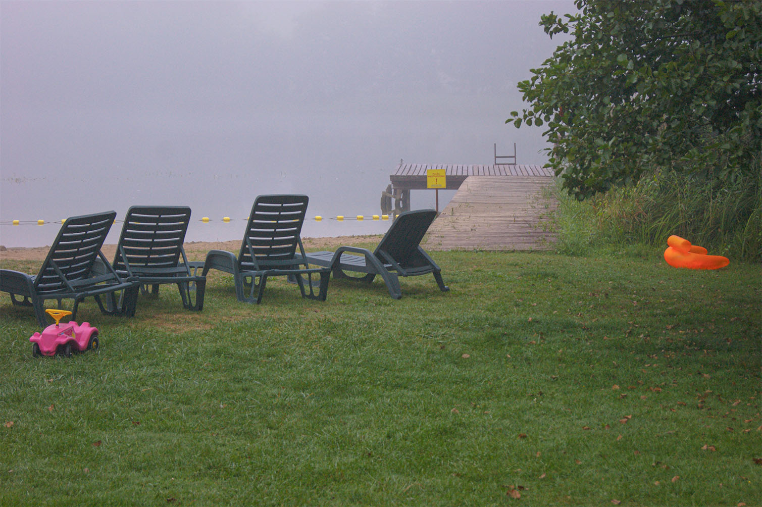 foggy lake view