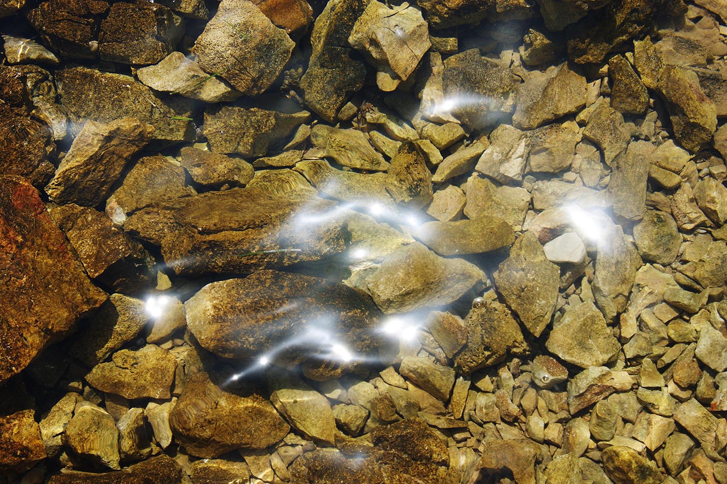 stones in the water