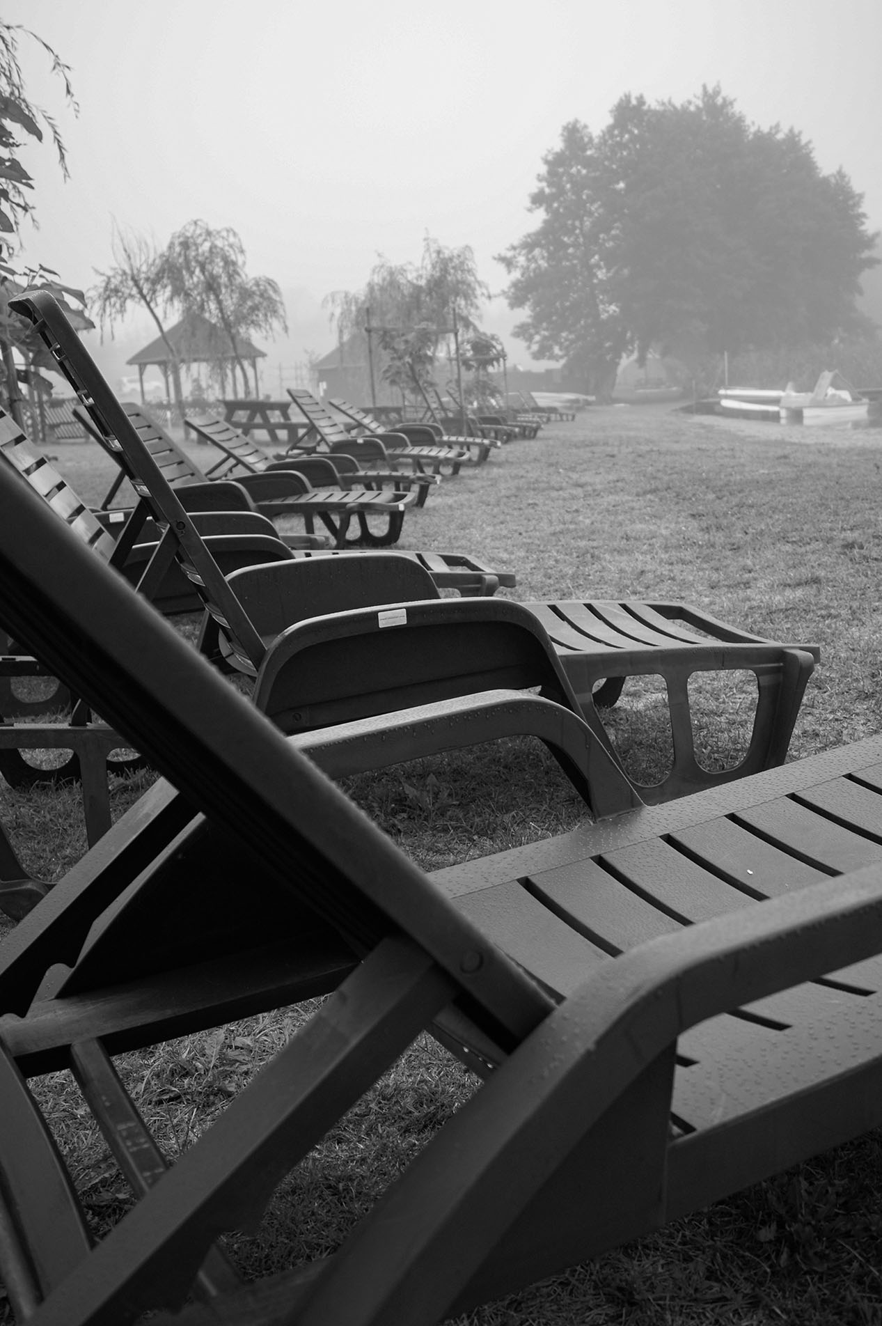 deckchairs and trees in the background