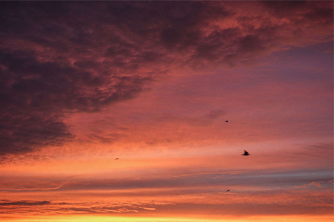 pink sunset sky clouds