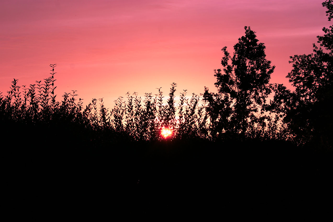 sunset view in pink